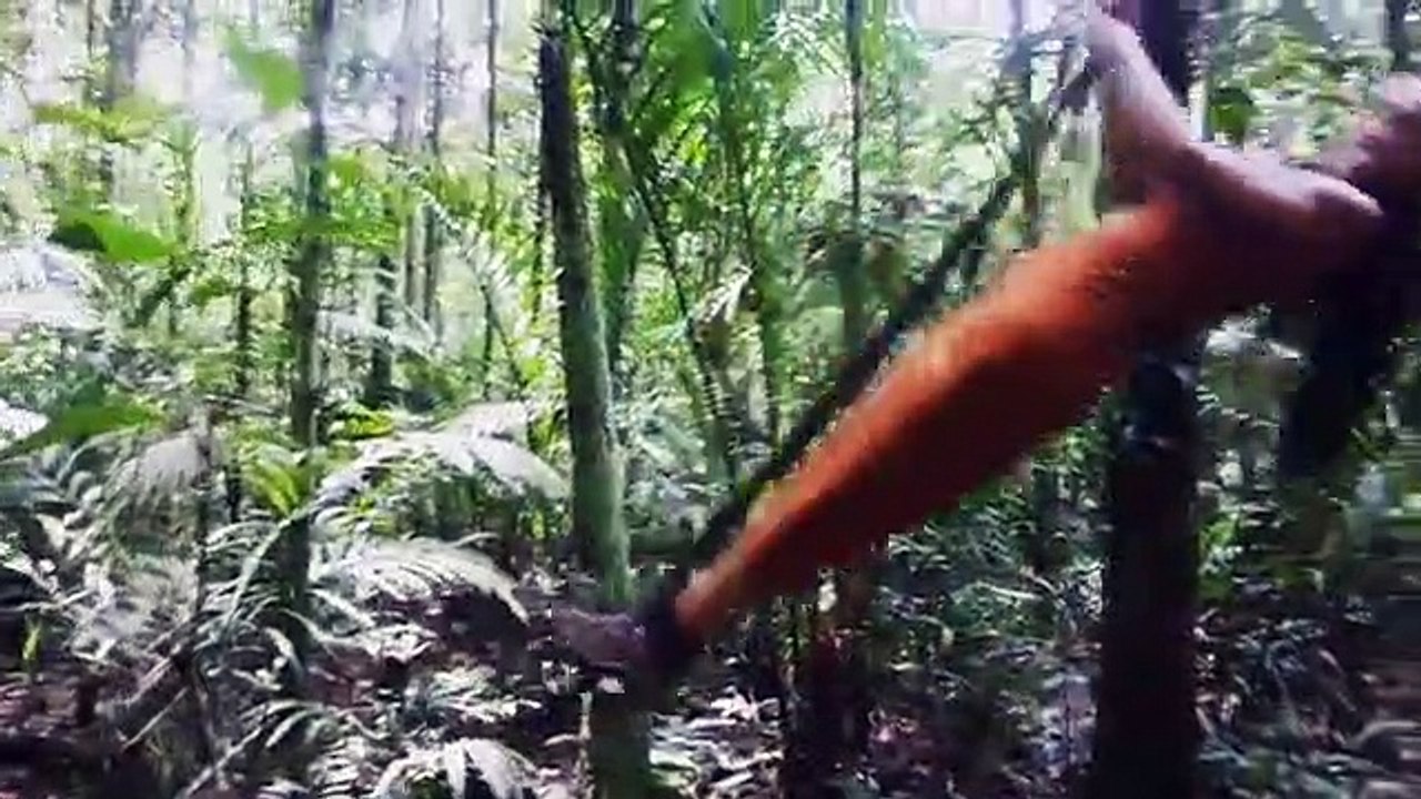 Rita Pereira em versão Tarzan