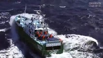 Força Aérea resgata pescador mordido por tubarão