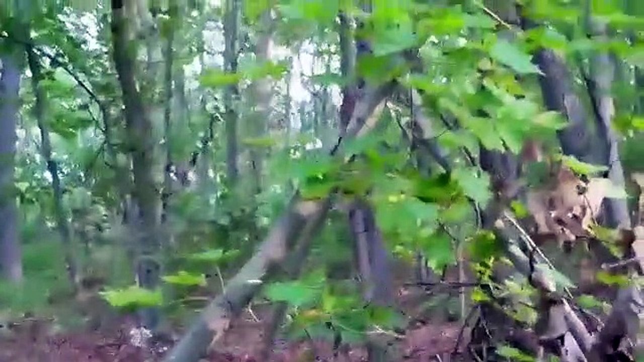 Durante passeio, homem encontra cartazes com pessoas desaparecidas