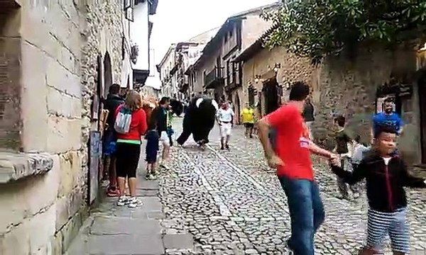 Uma largada de touros 'amiga' dos animais