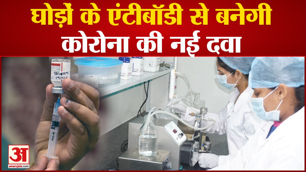 Kolhapur : Corona Medicine To Be Made From Hors...