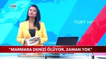 Müsilaj Tehlikesi Yeniden Gündemde: 'Zaman Yok, Marmara Denizi Ölüyor!'