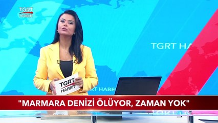 Télécharger la video: Müsilaj Tehlikesi Yeniden Gündemde: 'Zaman Yok, Marmara Denizi Ölüyor!'