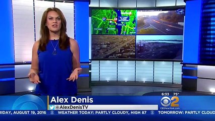 Colisão entre autocarros faz um morto em Newark