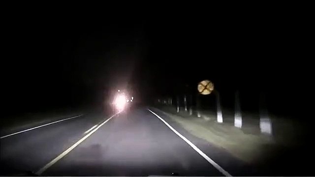 Veado depois de atropelado ataca condutor do veículo