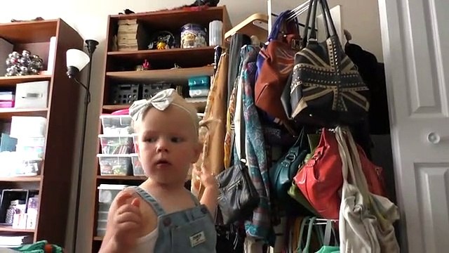 Como é ser dono de um cão ou de um gato?