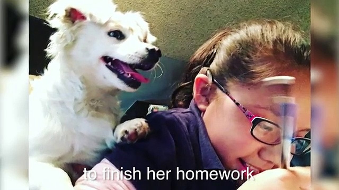 Rapariga e cão são ambos surdos