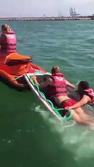Cruz Vermelha salva golfinho