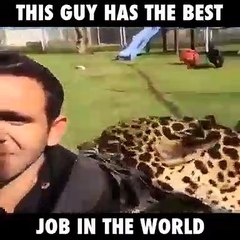 Eduardo Serio e os animais