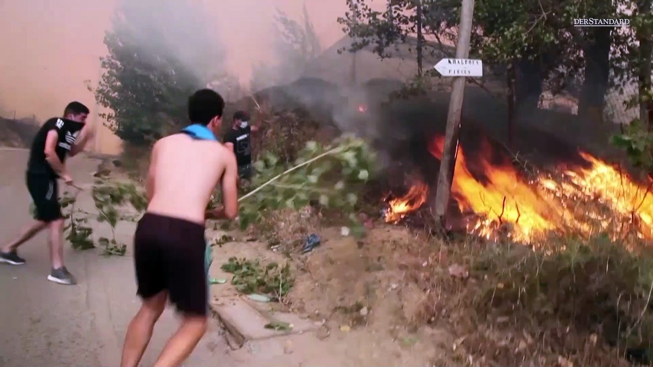 Waldbrände in Algerien