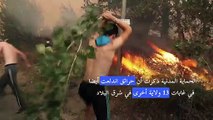 مصرع أكثر من 40 شخصا في حرائق غابات تجتاح شمال الجزائر