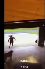 Pára todos os dias à porta de vizinha para abraçar cão. Este é o motivo