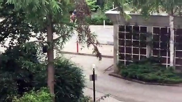 Tiroteio em centro comercial de Munique. Fala-se em vários mortos