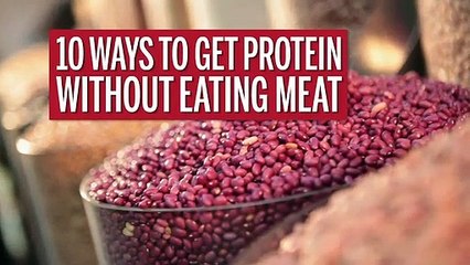 Comer proteína sem comer animais