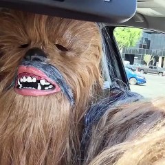 Agora é Chewbacca quem usa uma máscara de Candace
