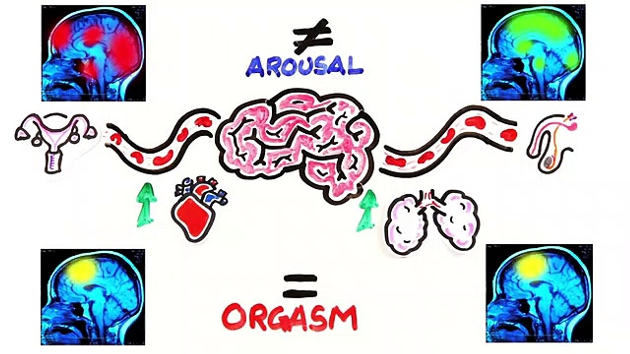 Homens vs mulheres: Quem tem o melhor orgasmo?
