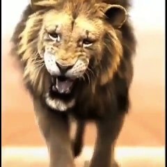 Tongues of fire. Morning prayer