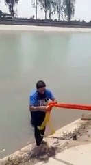 Sikh tirou o turbante para ajudar cão que se estava a afogar