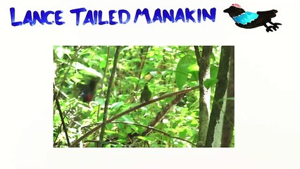 Ter um parceiro de saídas ajuda a encontrar a tal