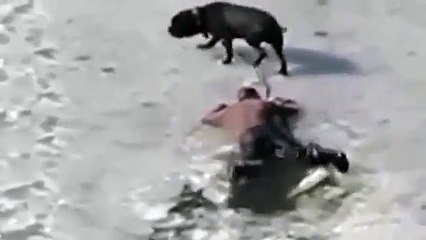 Homem e cão lutam pela vida em lago congelado