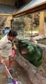 فيديو تمساح متحمس للحصول على الطعام يُشعل مواقع التواصل الاجتماعي