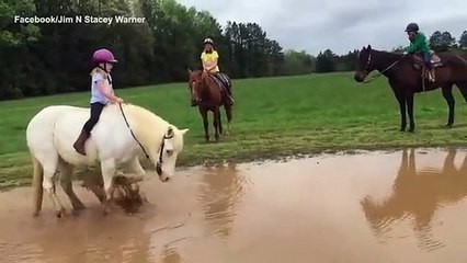 Pónei prega partida a pequena cavaleira