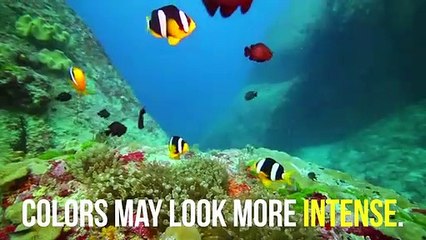 É assim um corpo sob o efeito de drogas