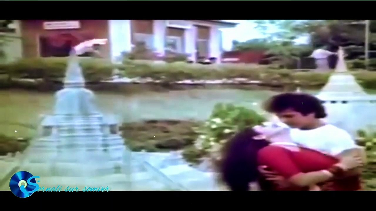 আমি তোমার সংঙ্গিনী