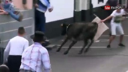 Agente da PSP colhido em tourada. Momento registado em vídeo