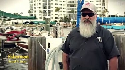 Pode deitar fora este plástico, os peixes vão comê-lo