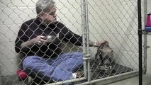 Veterinário sentou-se e comeu em jaula para confortar cadela assustada