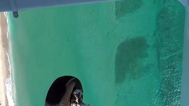 Sabe o que são estes pontos negros na água?