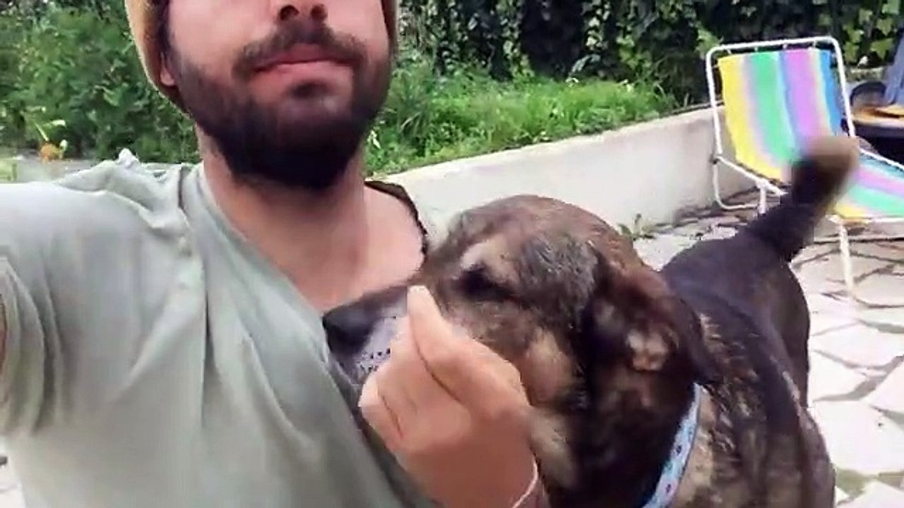 Já conhece os novos amigos de João Manzarra?