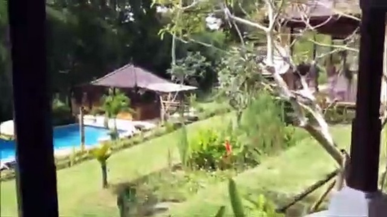 "Adoro ser mulher! Adoro as mulheres da minha vida"