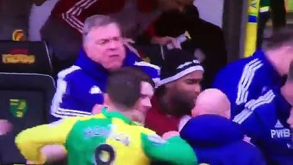 Empurraram jogador e Allardyce mostrou por que lhe chamam 'Big Sam'