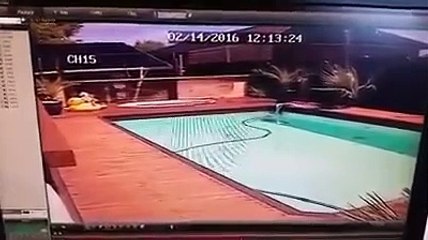 Assim se sentiu o sismo numa piscina na Nova Zelândia
