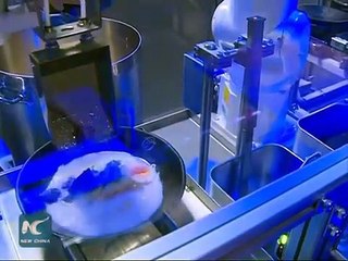 Neste restaurante os chefs são robots