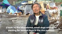Mulher dedica a vida a tratar dos 200 cães que tirou das ruas
