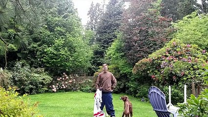 Ir a uma sessão de cinema a dois e pagar apenas um bilhete