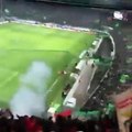 Adeptos do Benfica celebram golo frente ao Sporting