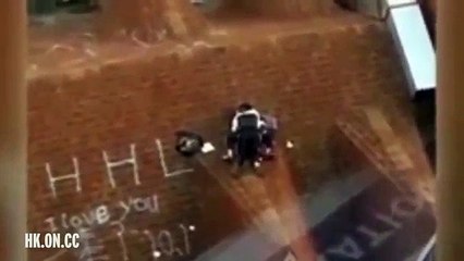 Troca de mimos no telhado de um edifício incendeia redes sociais