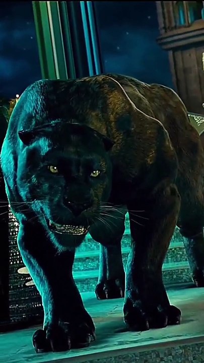 Black Tiger