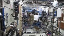 Astronauta transforma a Estação Espacial uma autêntica ‘macacada’