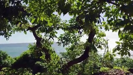 "Descubra a Madeira" com Jessica Athayde, Cláudia Vieira e Ortigão