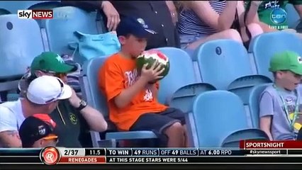 O primeiro 'personagem' da internet do ano