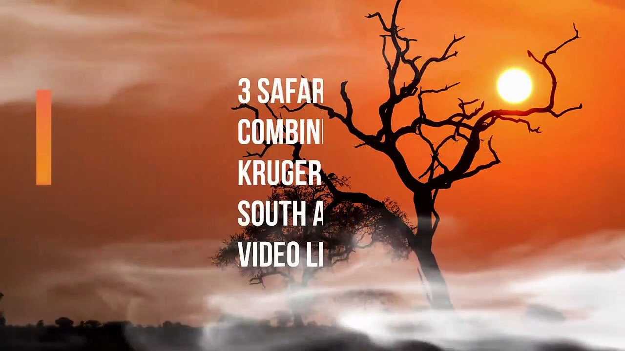 Fierce Kruger Park Wildlife Battle! 10 Lions, 1 Cape Buffalo, 1 Nile Crocodile & Herds of Elephants.