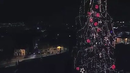 Maior Árvore Natural de Natal na Europa