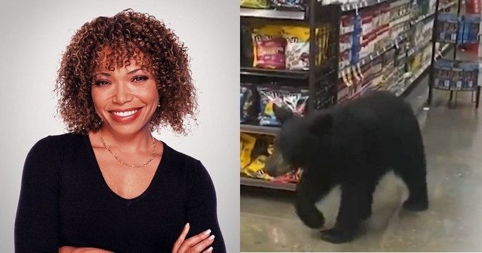 L'interprète de Janet Kyle dans Ma famille d'abord s'est retrouvée nez à nez avec un ourson dans un supermarché