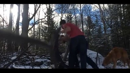 Uma selfie e um vídeo memorável do resgate de uma águia
