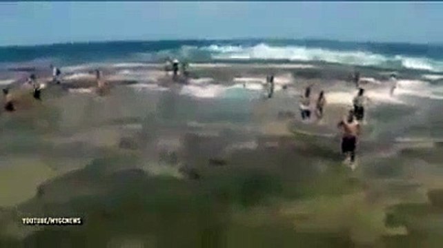 Param para dar um beijo antes de onda gigante